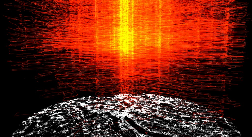 MetroBuzz: Interactive Visualization of Urban Transportation Data